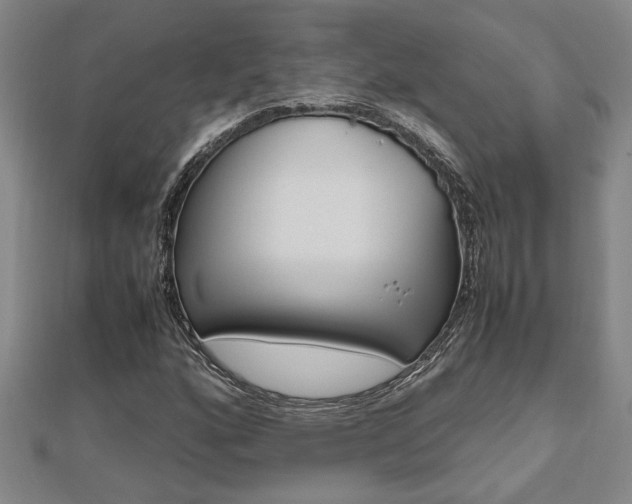 X0000112471160200908170944