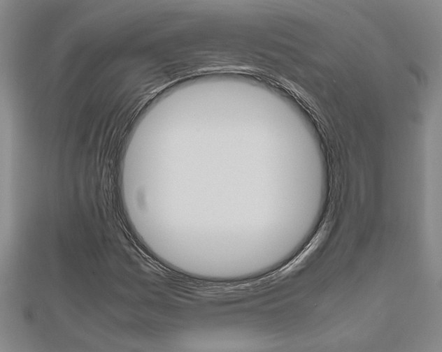 X0000112471161200908170944