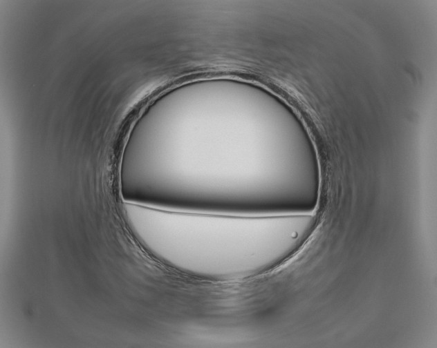 X0000112471163200908170944