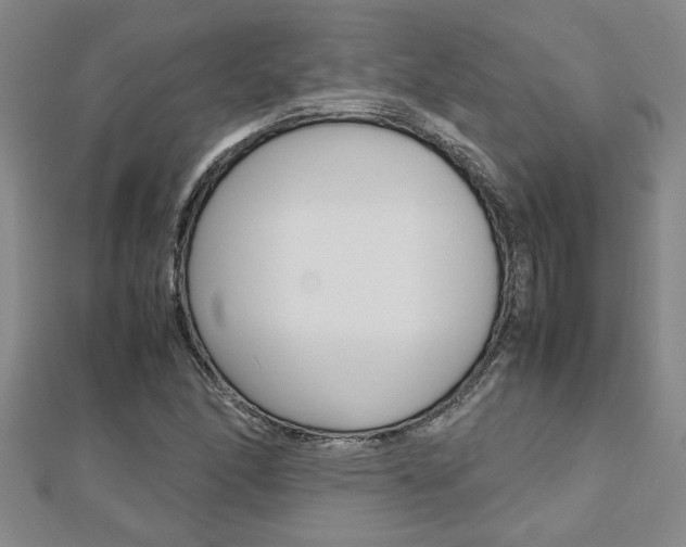 X0000112471166200908170944