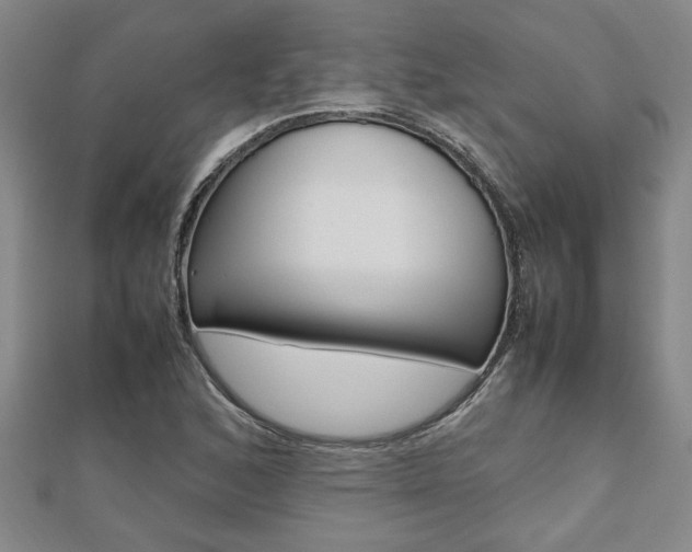 X0000112471168200908170944