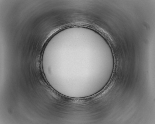 X0000112471170200908170944