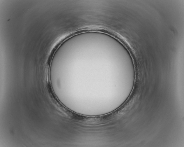 X0000112471171200908170944