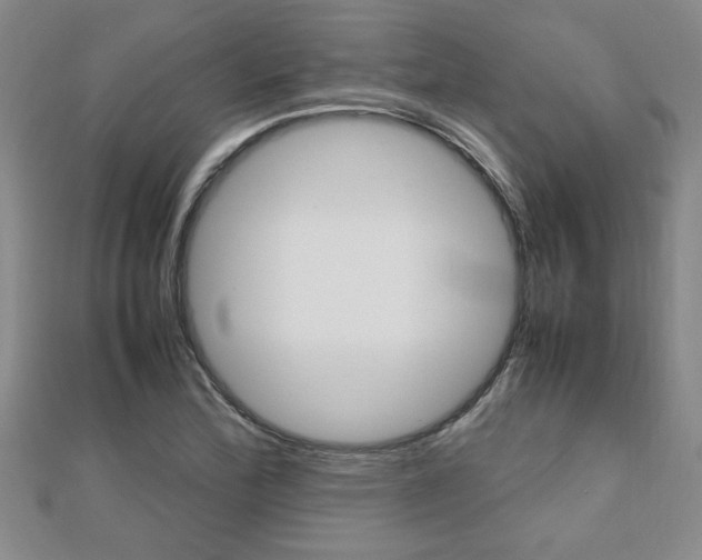 X0000112471172200908170944