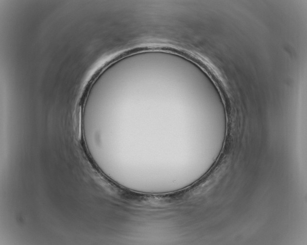 X0000112471175200908170944