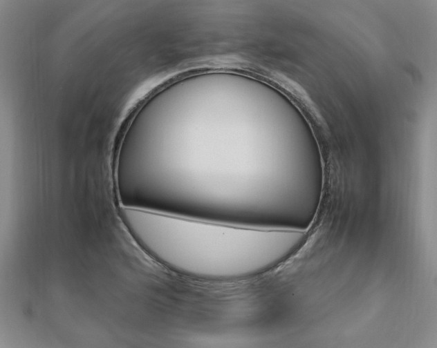 X0000112471176200908170944