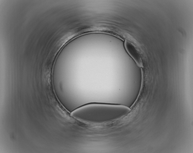 X0000112471177200908170944