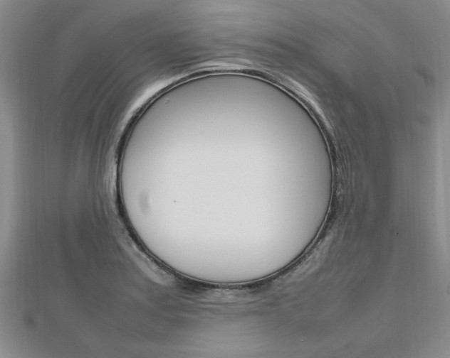 X0000112471179200908170944