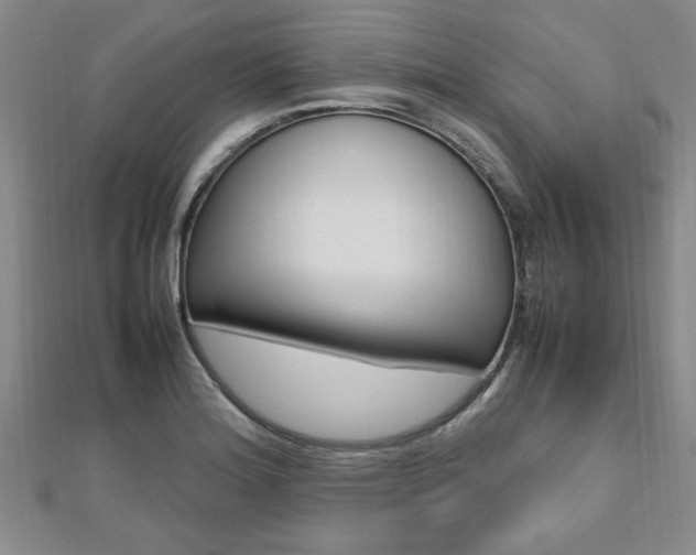 X0000112471180200908170944