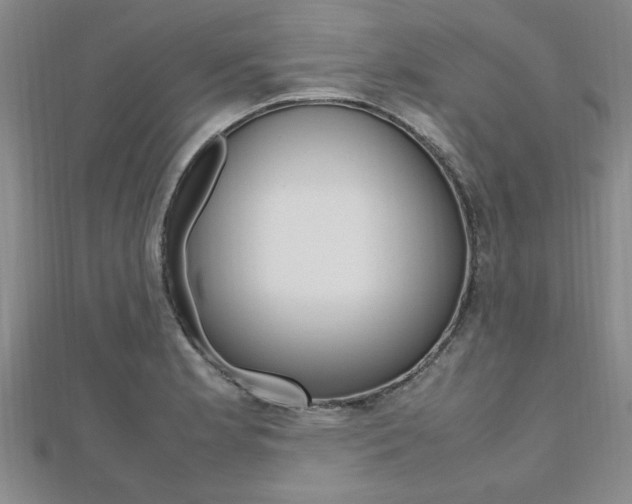 X0000112471181200908170944