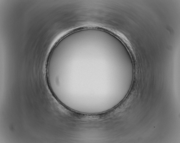 X0000112471183200908170944