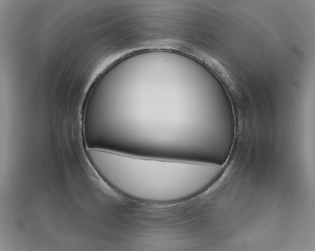 X0000112471184200908170944