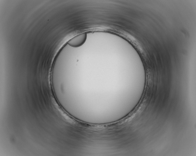 X0000112471186200908170944