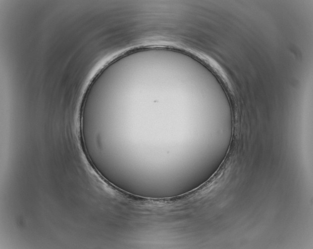 X0000112471191200908170944