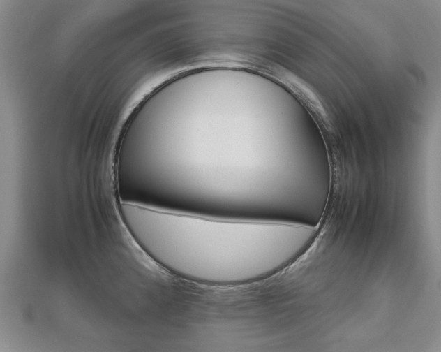 X0000112471192200908170944