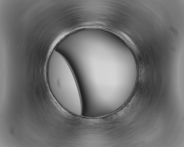 X0000112471196200908170944