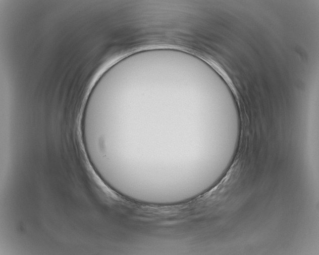 X0000112471197200908170944