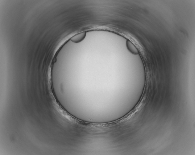 X0000112471198200908170944