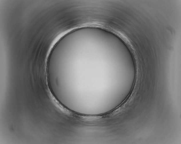 X0000112471200200908170944