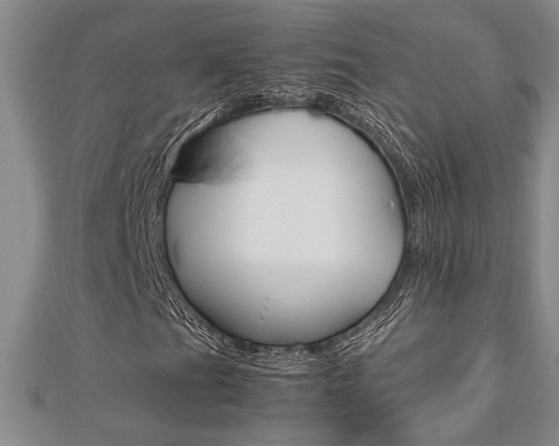 X0000112471201200908170943