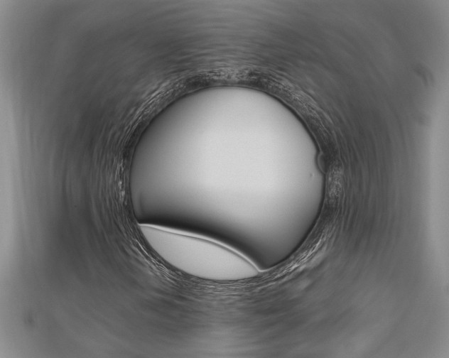 X0000112471202200908170943