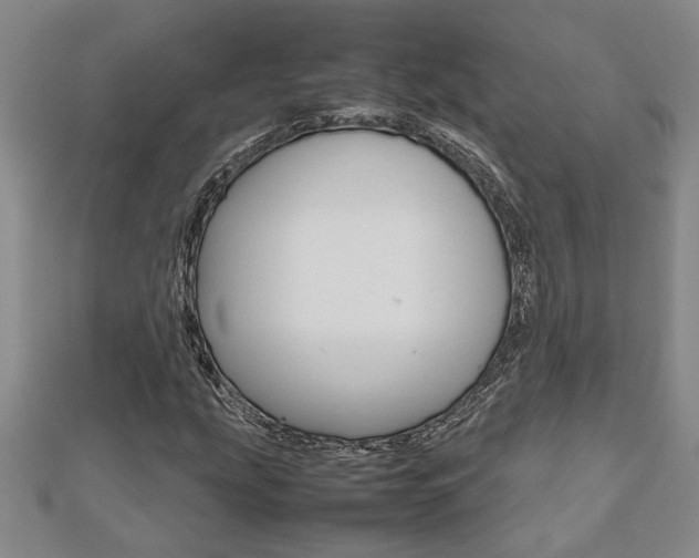 X0000112471207200908170943