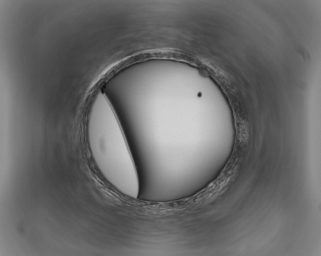 X0000112471208200908170943