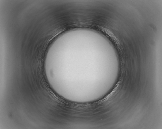 X0000112471209200908170943