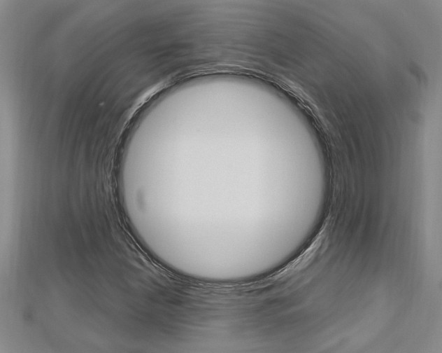 X0000112471210200908170943