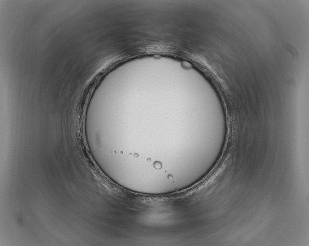 X0000112471211200908170943