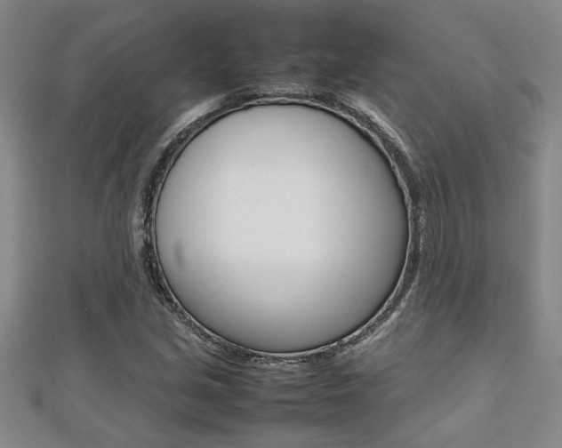 X0000112471213200908170943
