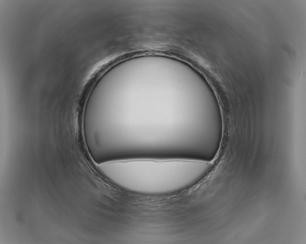 X0000112471214200908170943