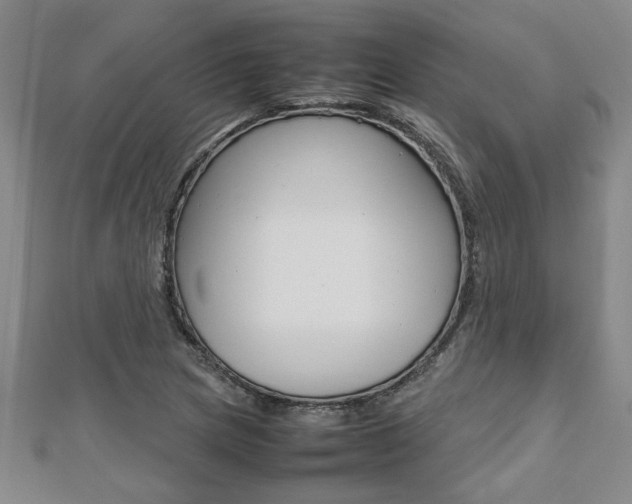 X0000112471217200908170943