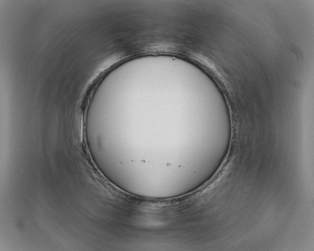 X0000112471219200908170943