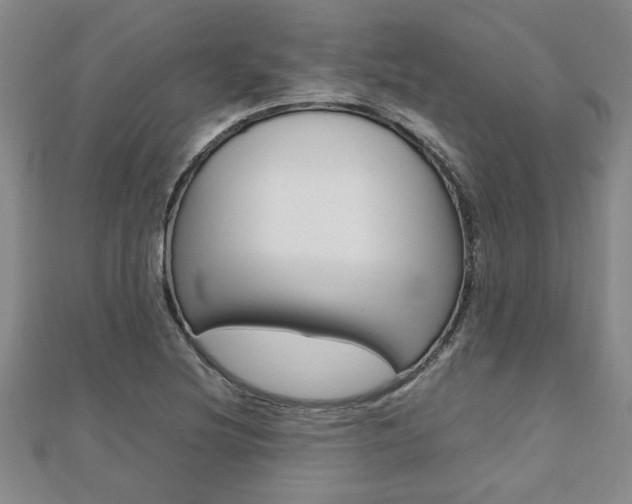 X0000112471220200908170943