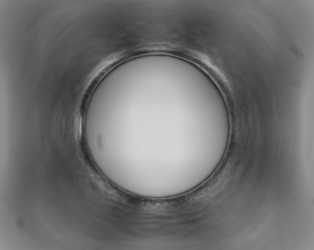 X0000112471221200908170943