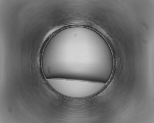 X0000112471222200908170943