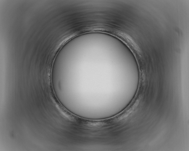 X0000112471225200908170943
