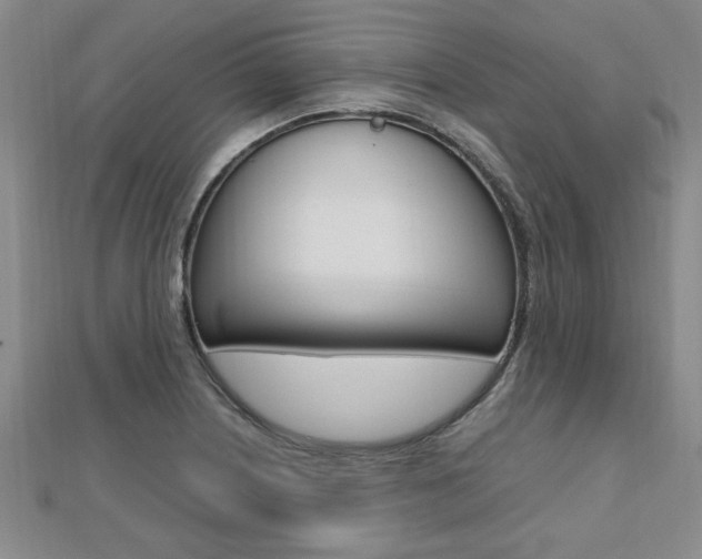 X0000112471226200908170943
