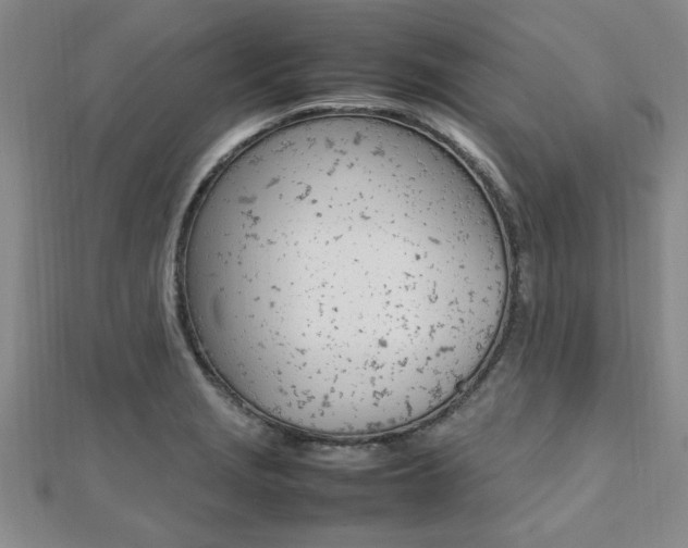 X0000112471229200908170943