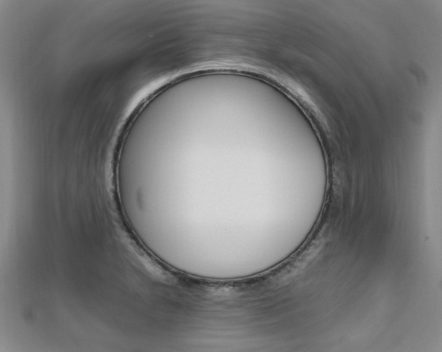X0000112471230200908170943