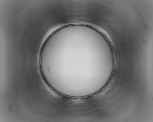 X0000112471231200908170943