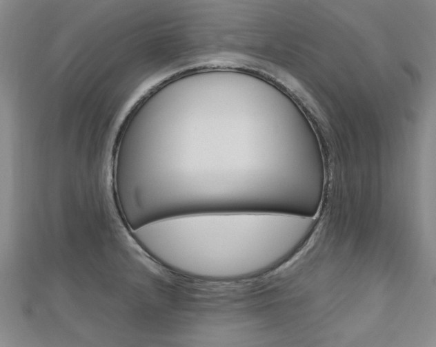 X0000112471232200908170944