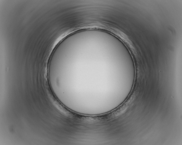 X0000112471234200908170944