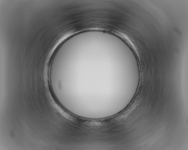 X0000112471235200908170944