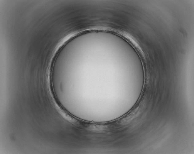 X0000112471237200908170944