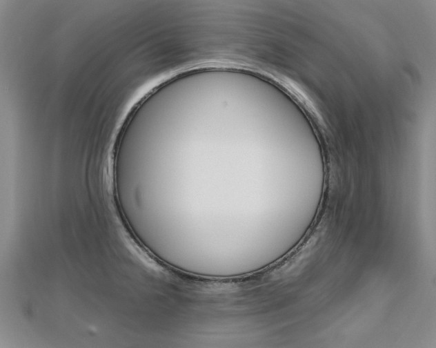 X0000112471238200908170944