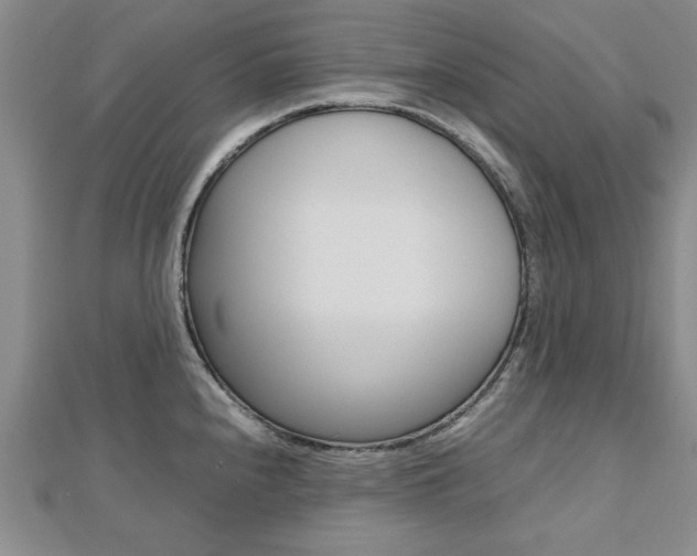 X0000112471240200908170944