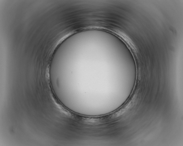 X0000112471241200908170944