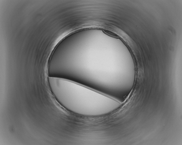 X0000112471242200908170944